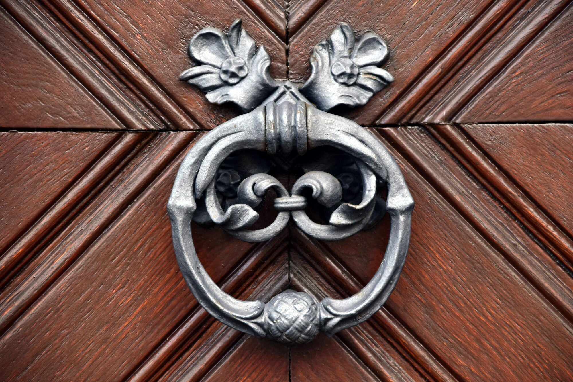 Intricate iron door knocker on wooden door with rustic detailing and floral accents