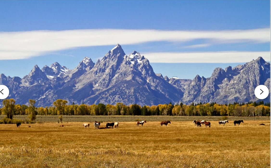 How Blacksmithing Shaped the American West