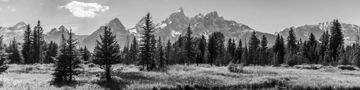 Traditional Blacksmithing and the Modern West