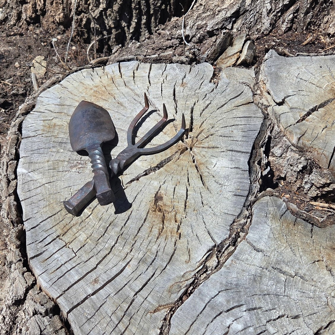 Texte alternatif par défaut