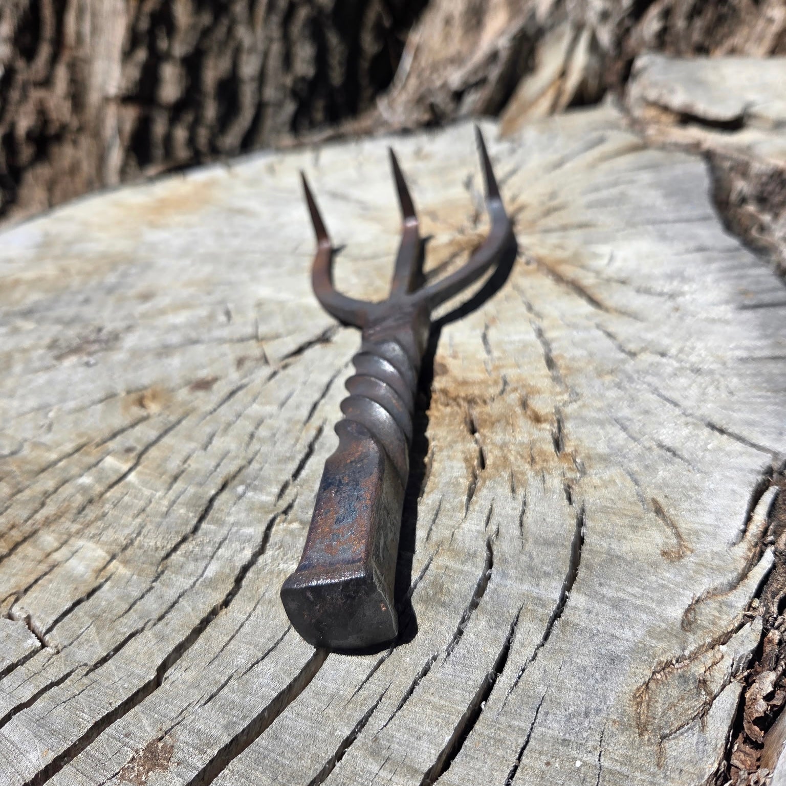 Texte alternatif par défaut