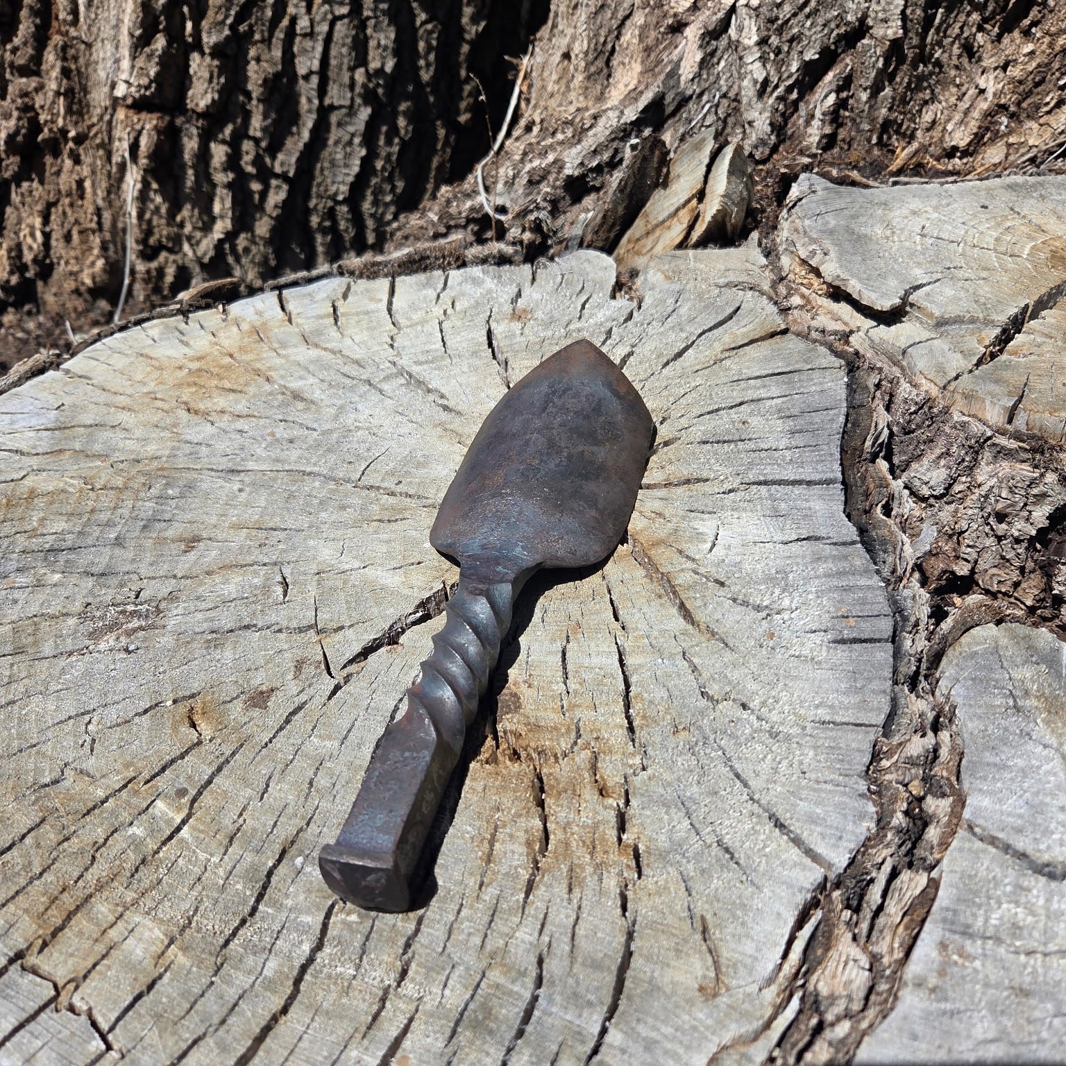 Texte alternatif par défaut