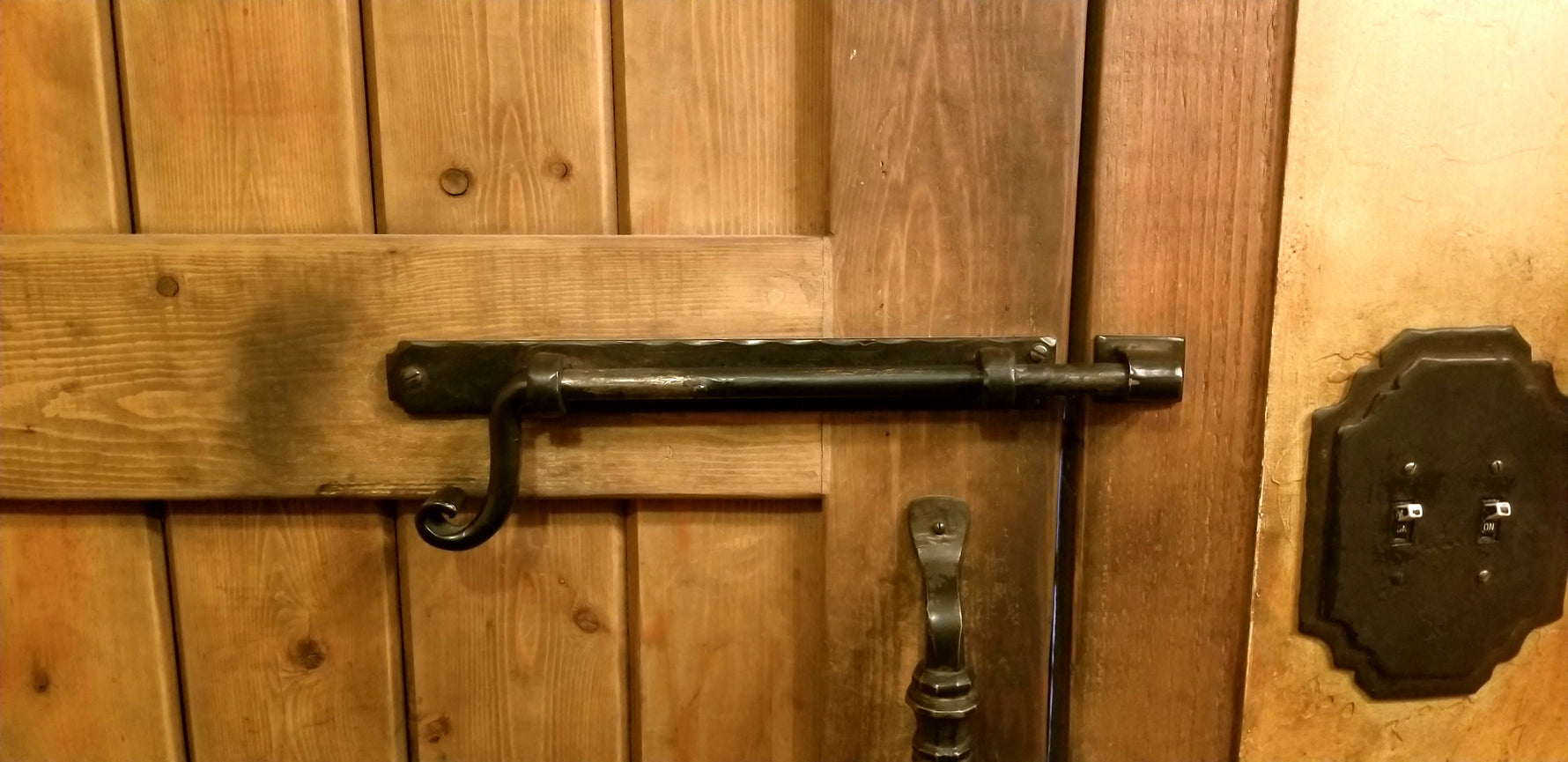 Transitional Iron Cane Bolt