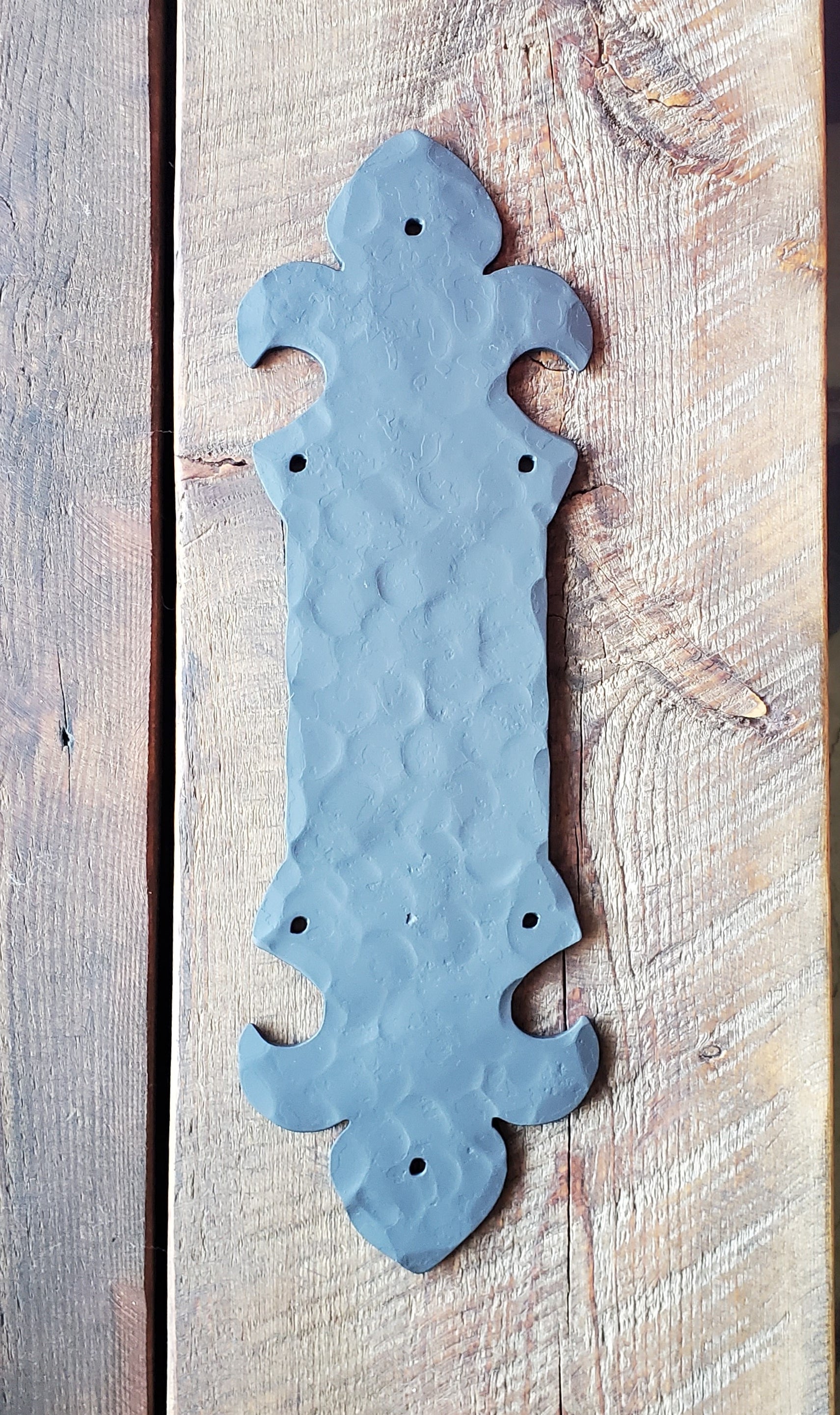 British Fleur De Lis Iron Push Plate