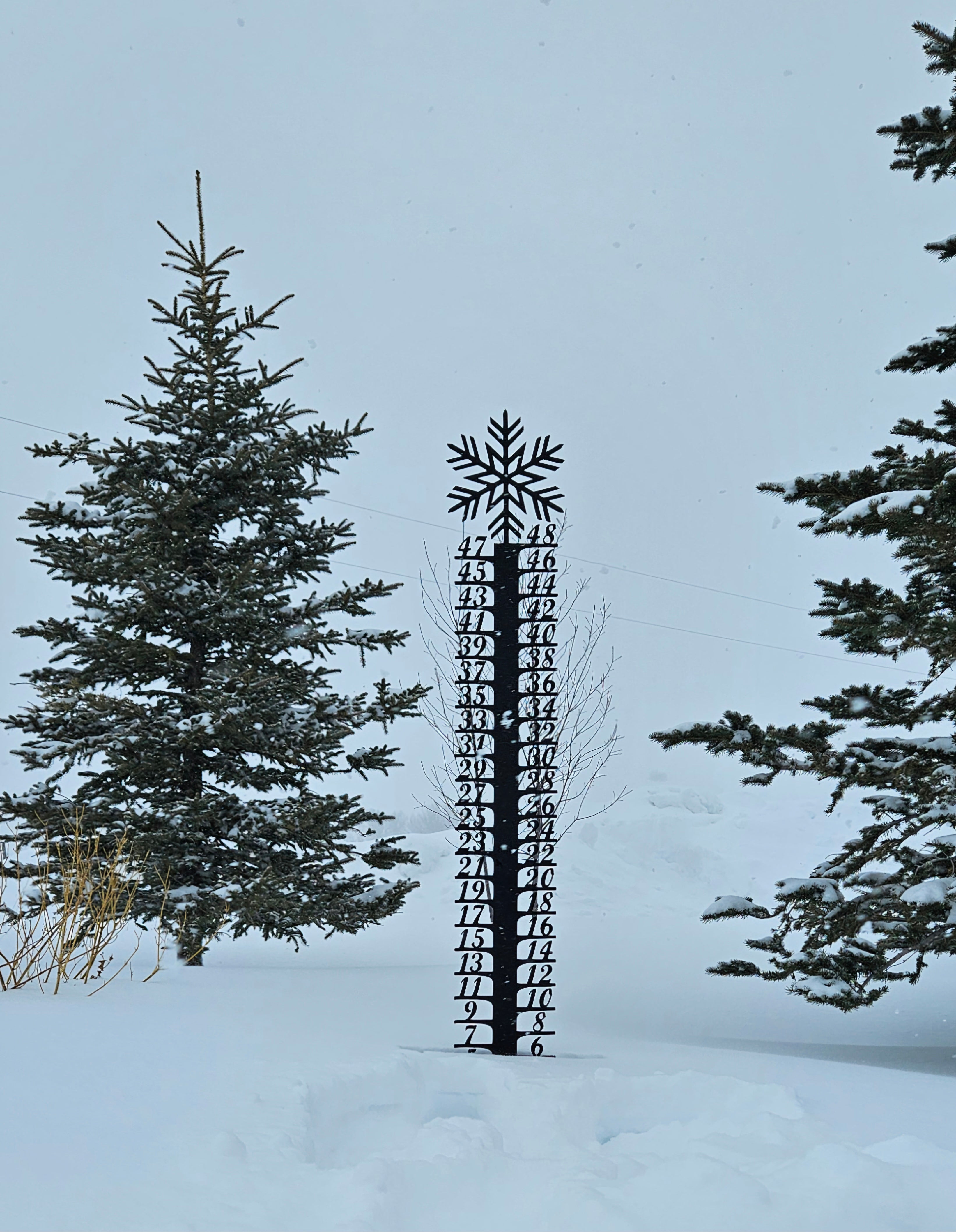 Texte alternatif par défaut