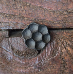 1/2" Dia. Flower Head Bolt