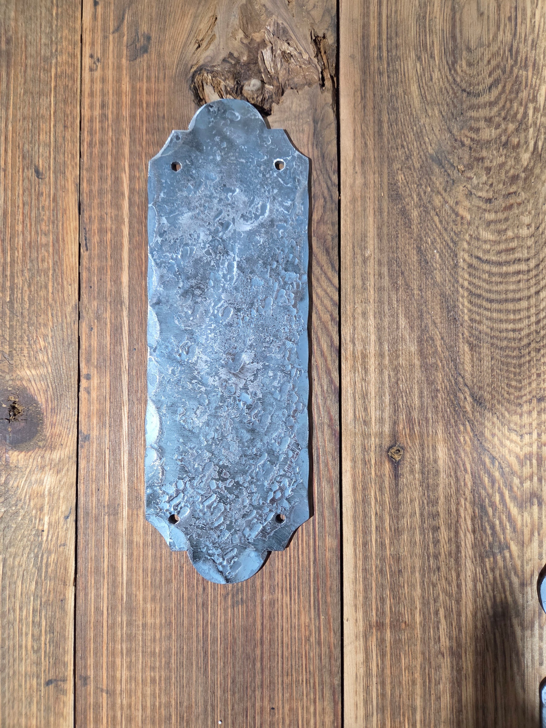 Classic Iron Push Plate