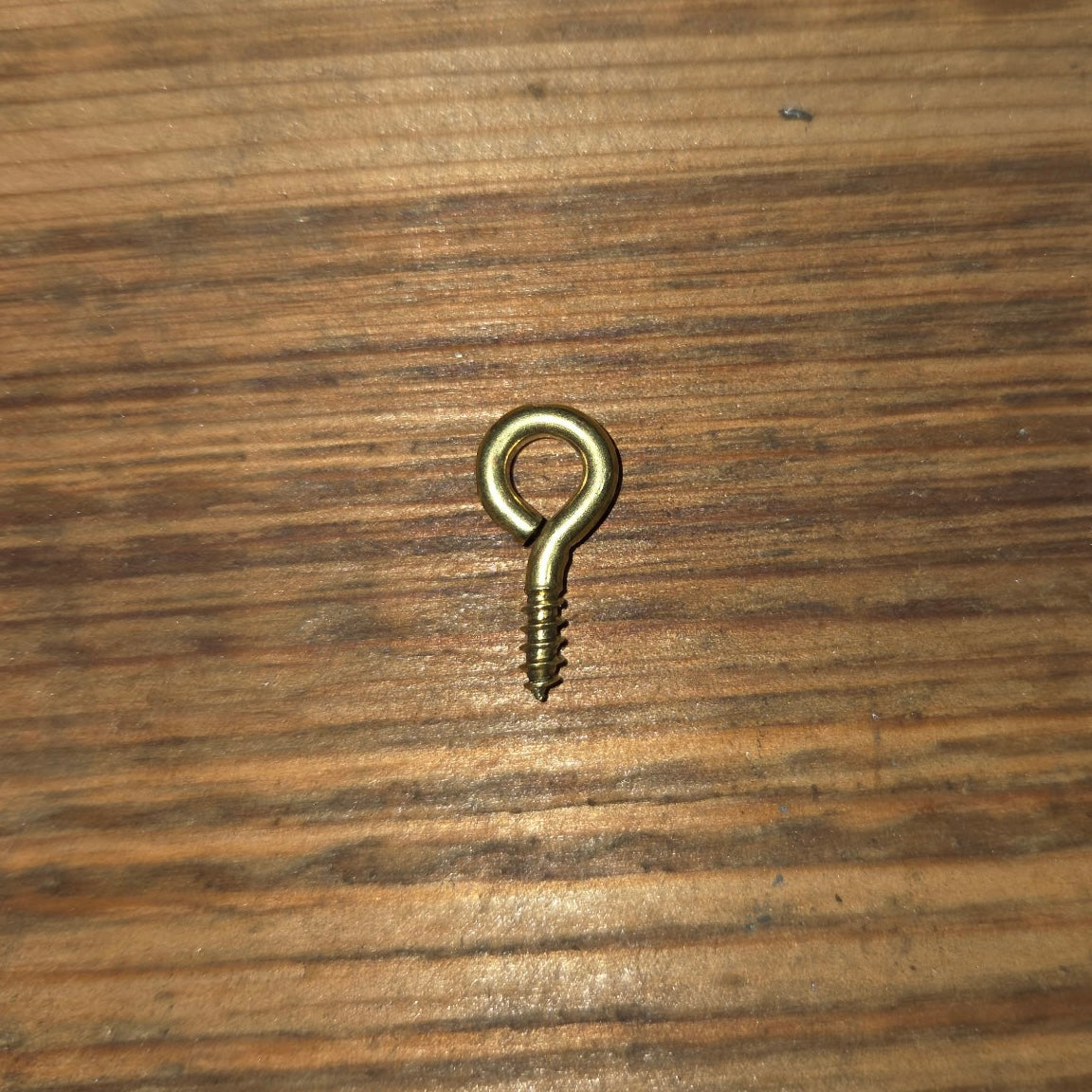 Set of 10 Brass Screw Eyes