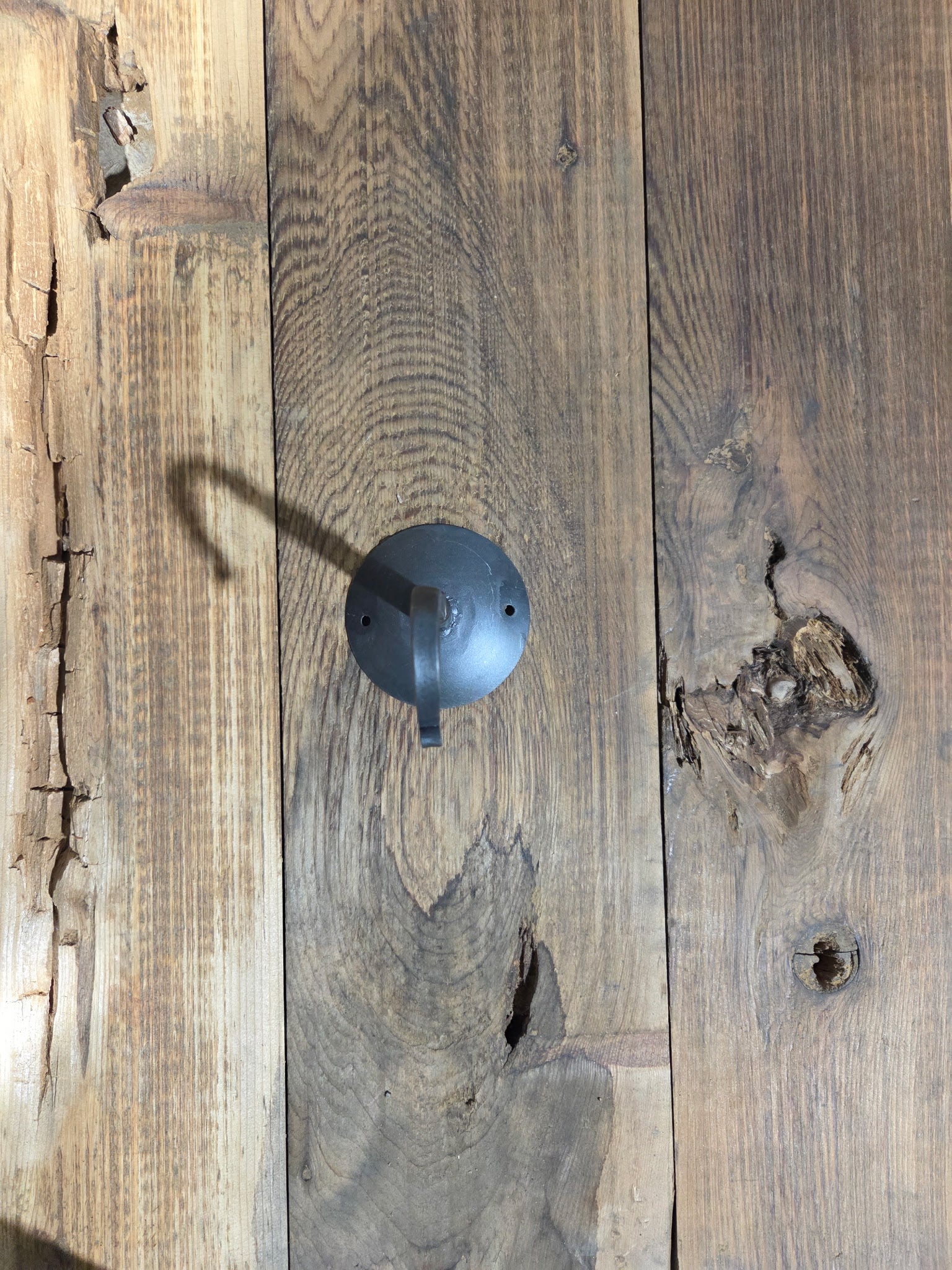 Twisted Wall/Ceiling Hook