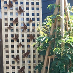 Rusted Butterfly Wall Tacks