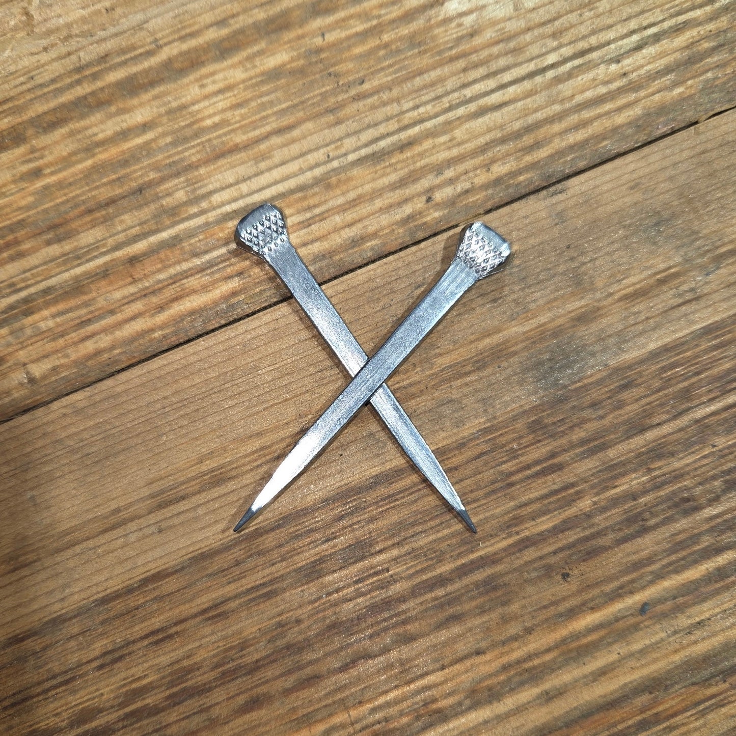 Rustic Horseshoe Nail