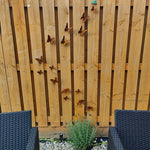 Rusted Butterfly Wall Tacks