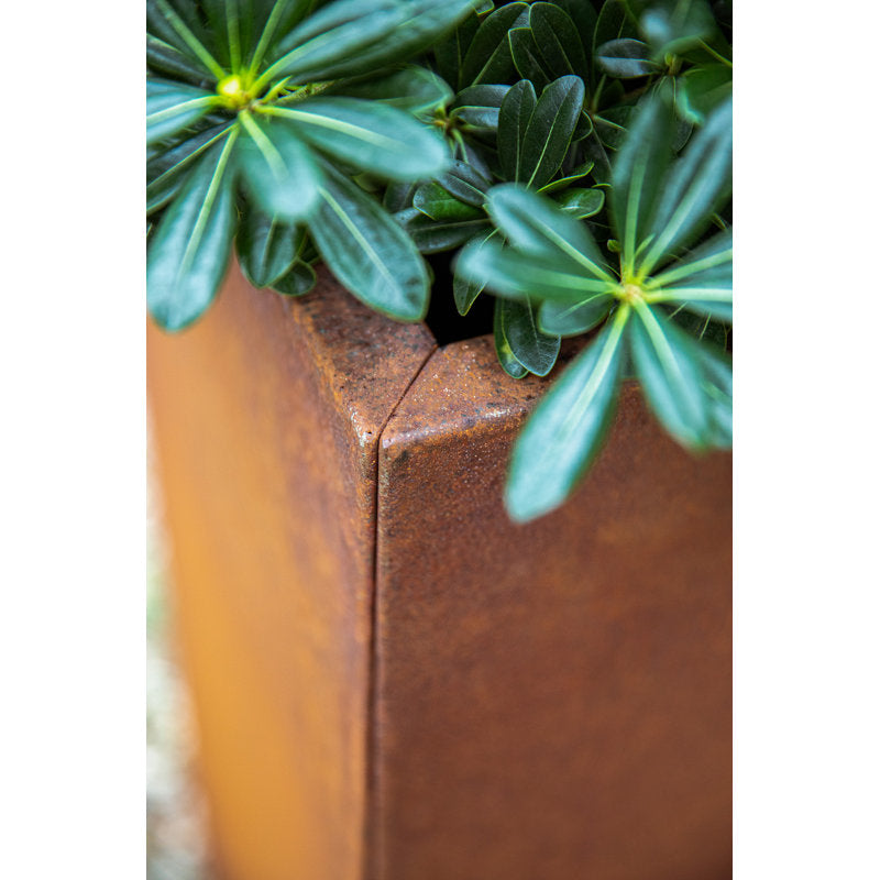 Testo alternativo predefinito