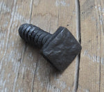 A black distressed textured square head lag in a piece of wood for the background showing the threads of the screw
