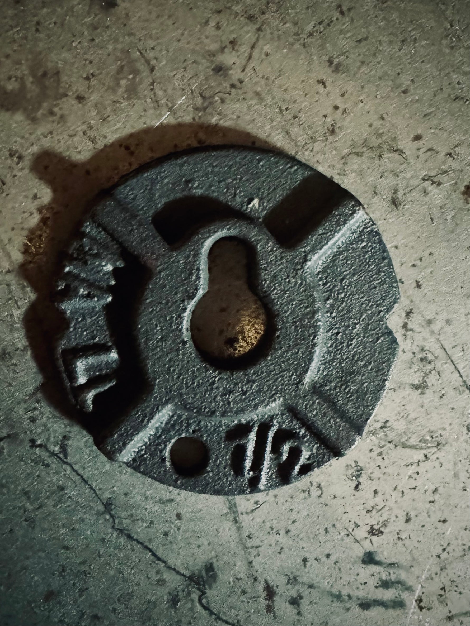 CLEARANCE- Limited Stock 1/2