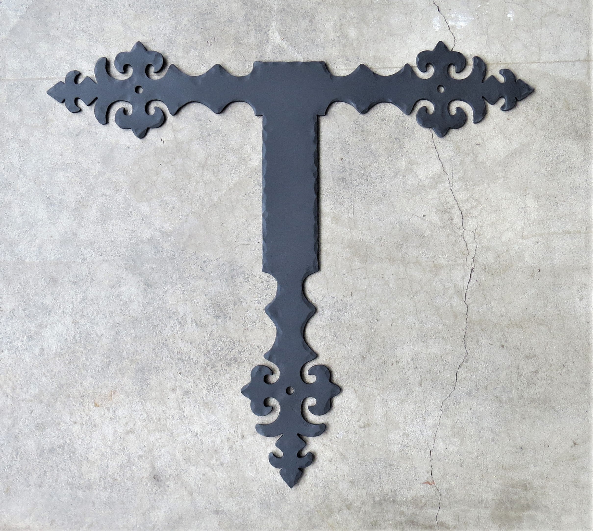 Placa frontal Renaissance Iron T