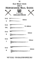 Rustic Horseshoe Nail