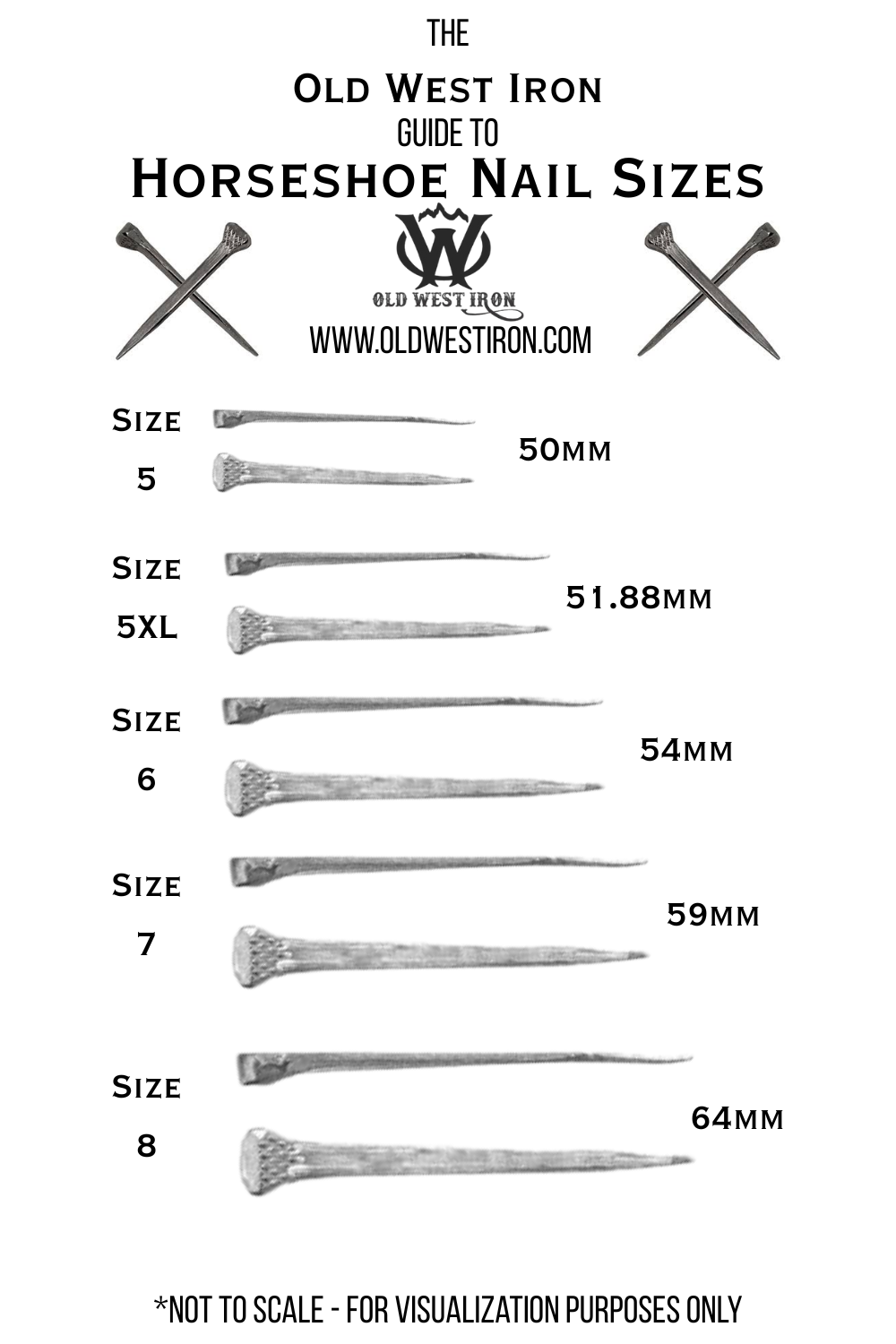 Rustic Horseshoe Nail