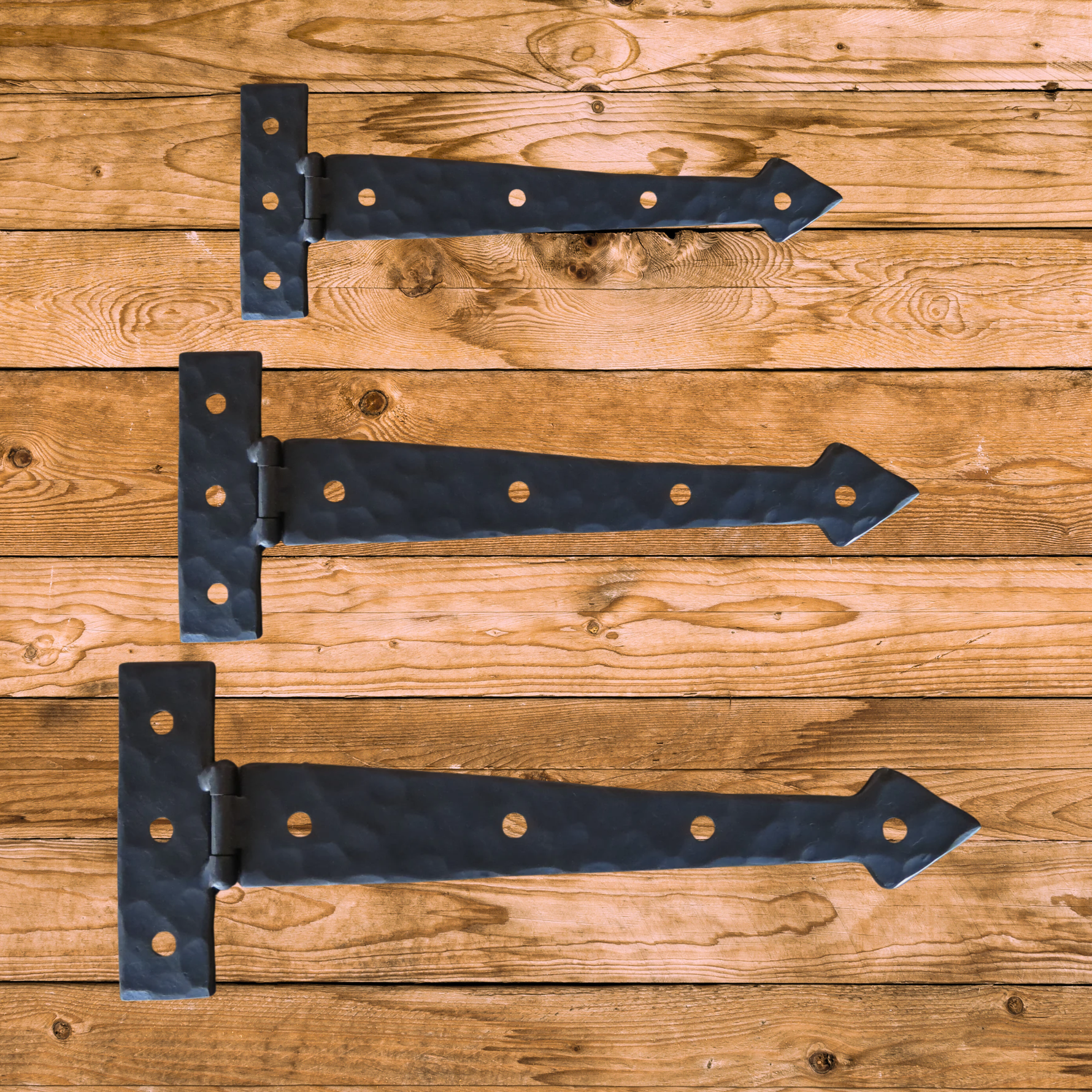 Neo-Classical Wrought Iron Functioning Hinge Strap