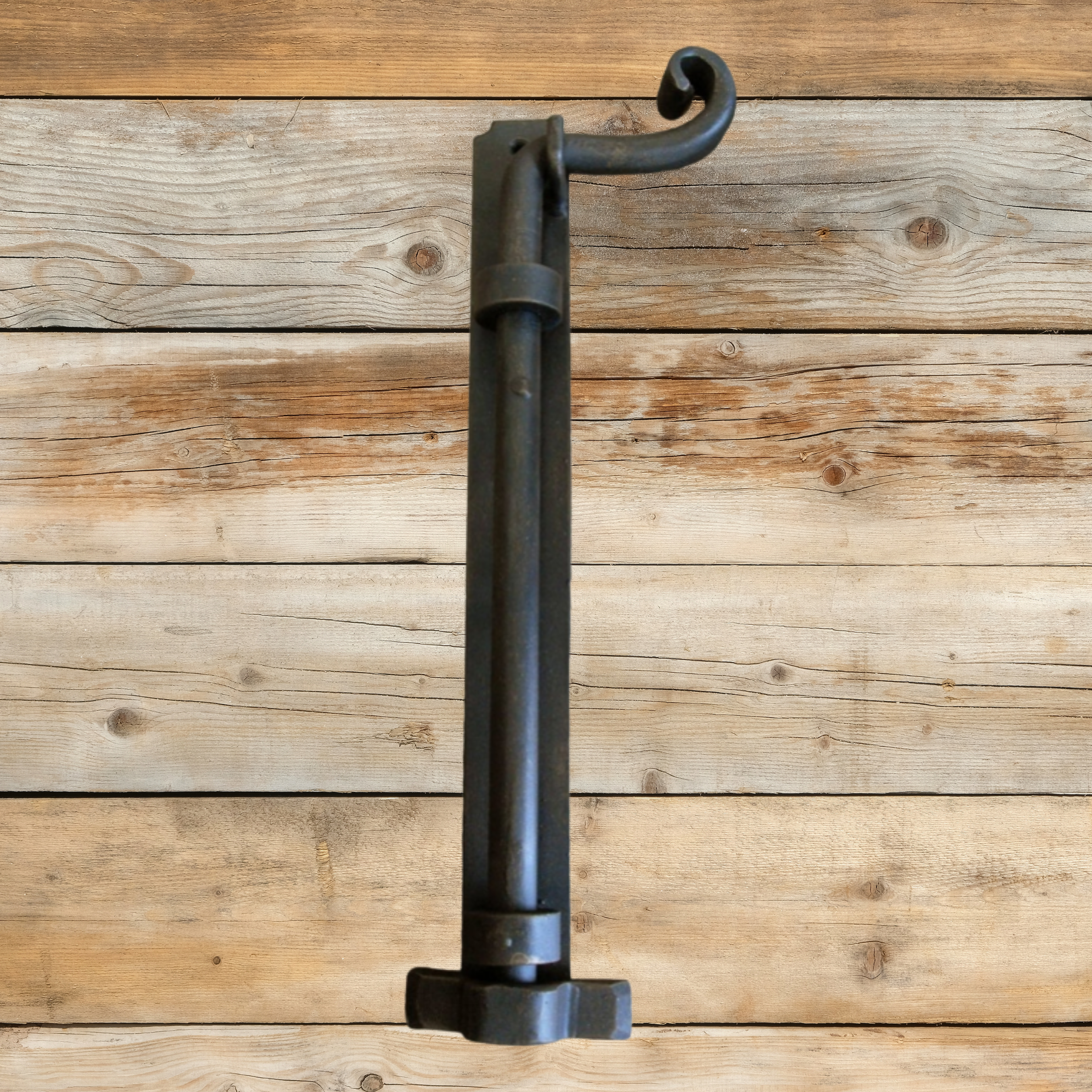 Transitional Iron Cane Bolt