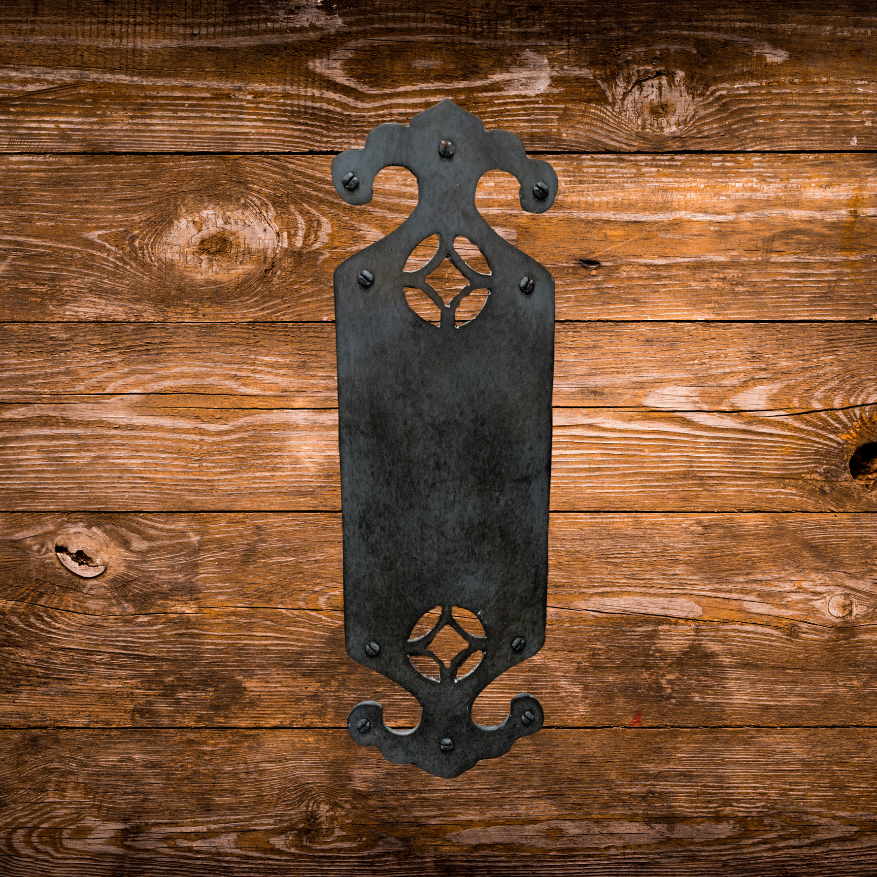 Isabelline Iron Push Plate