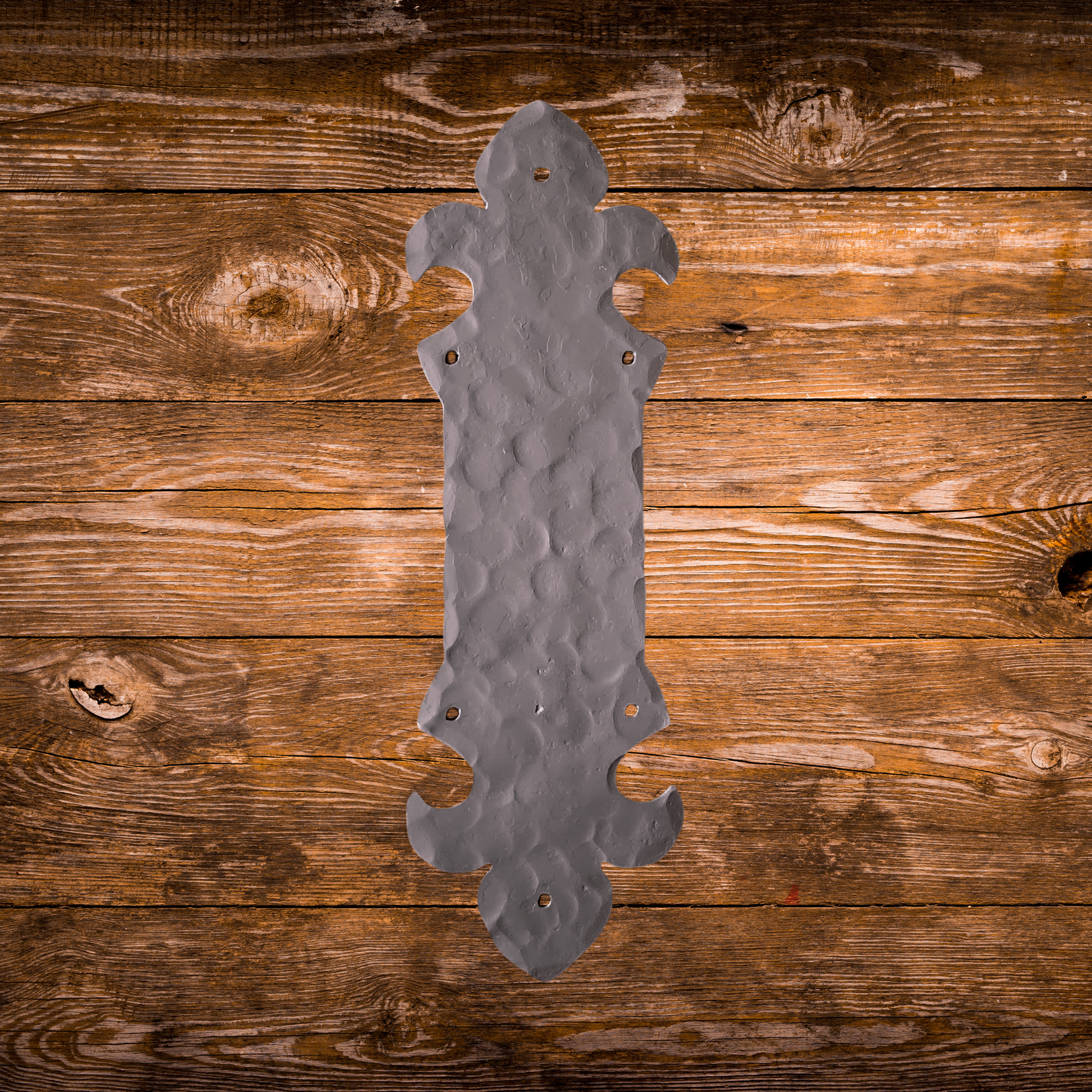 British Fleur De Lis Iron Push Plate