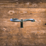 Perro de persiana toscano