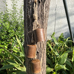 Hanging Country Cowells