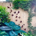 Rusted Butterfly Wall Tacks