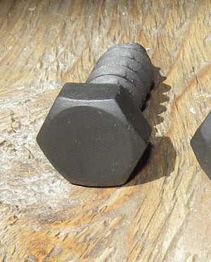 5/16" Dia. Smooth Hex Head Lag - 1" / Raw/Unfinished