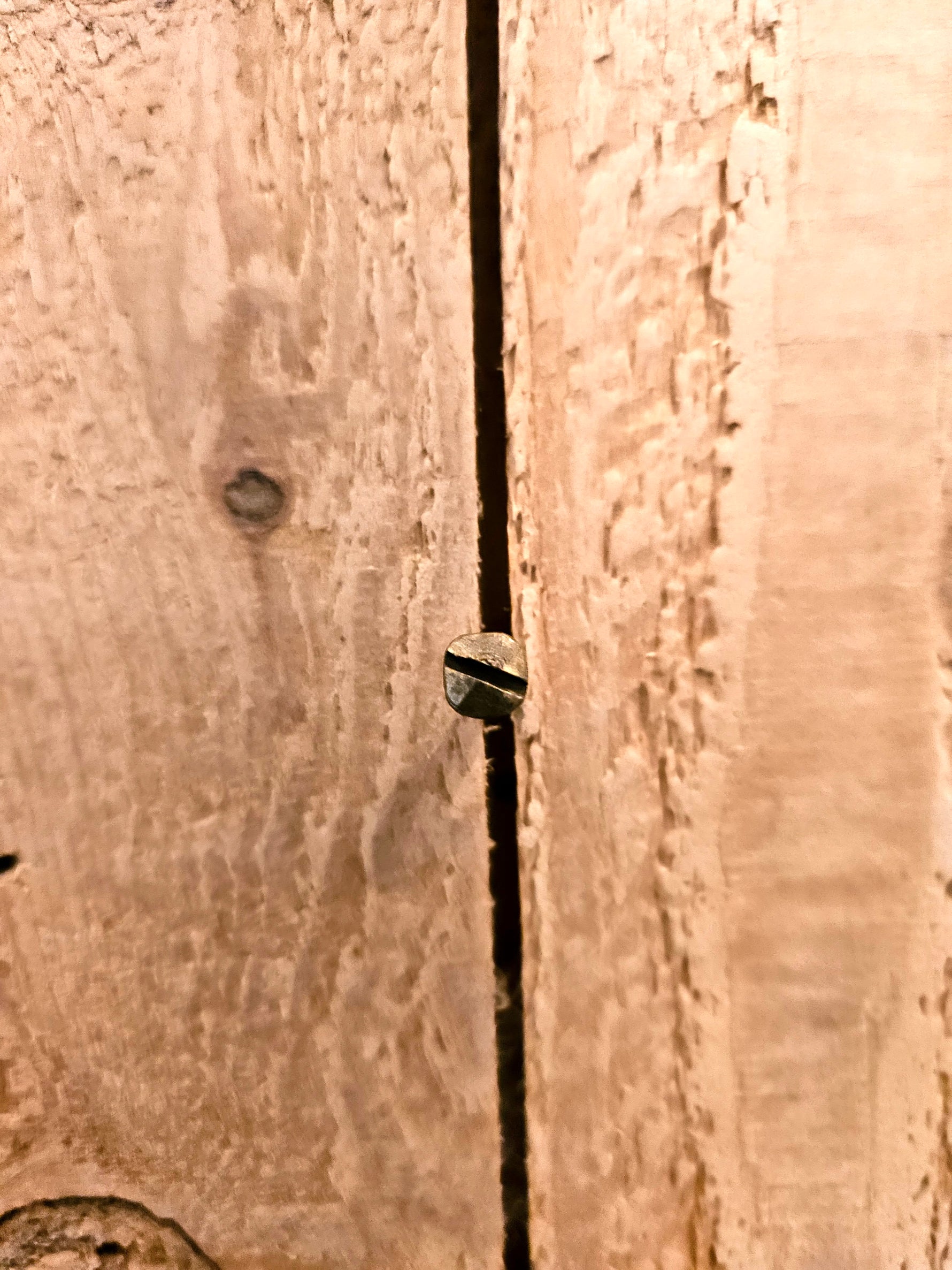 slotted brass wood screw