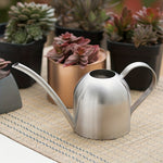 Simple Metal Watering Can