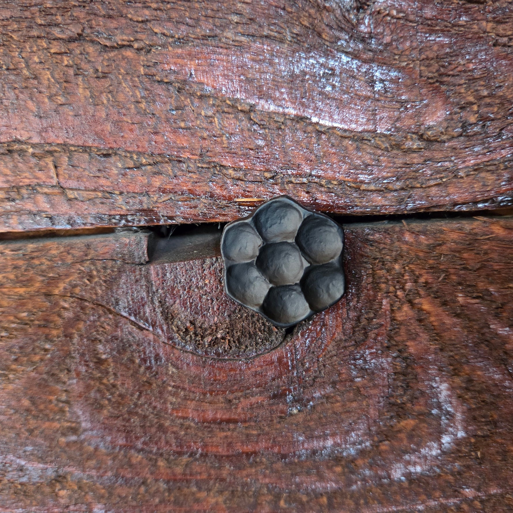 our flower head lag bolt/screw installed on rough hewn barnwood