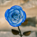 Hand-Forged Wrought Iron Blue & White Metal Rose Uncategorized Gift