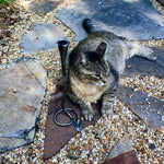 Hand forged viking candlestick Candle Holders Candles