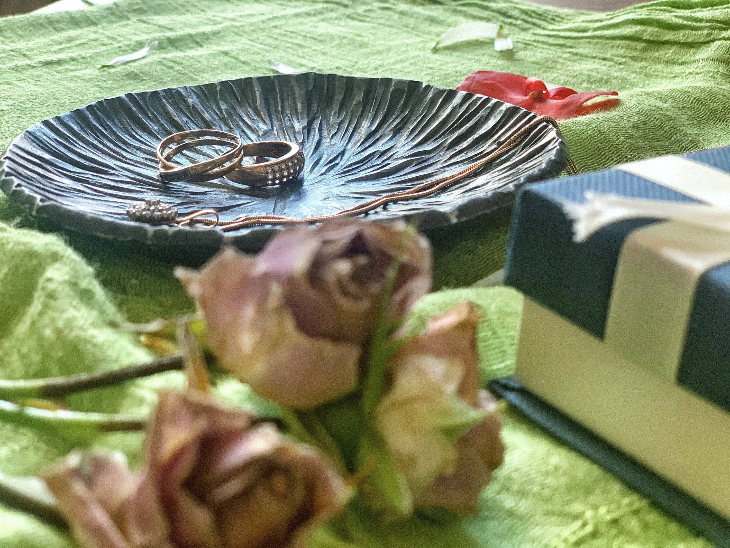 Texte alternatif par défaut