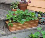 22" Copper Plated Flower Window Box Planter, Rectangular