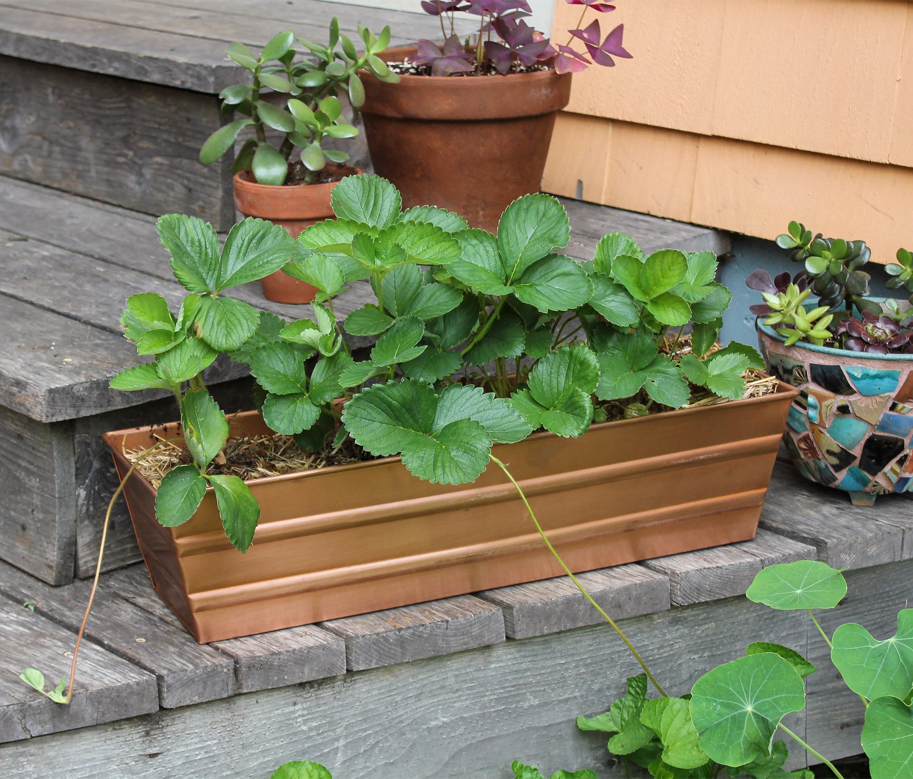 22" Copper Plated Flower Window Box Planter, Rectangular