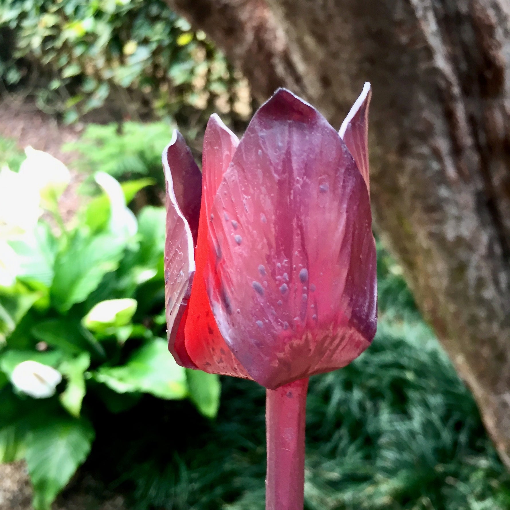 Set of Three Hand Made Eternal Tulips Artificial Flora flower