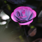 Hang Forged Pink and White Wrought Iron Rose Uncategorized Gift