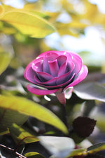 Hang Forged Pink and White Wrought Iron Rose Uncategorized Gift