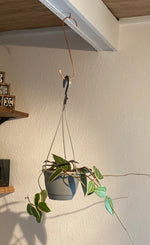 Copper Plant Hook