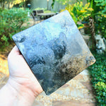 Carbon Steel Sandwich Press