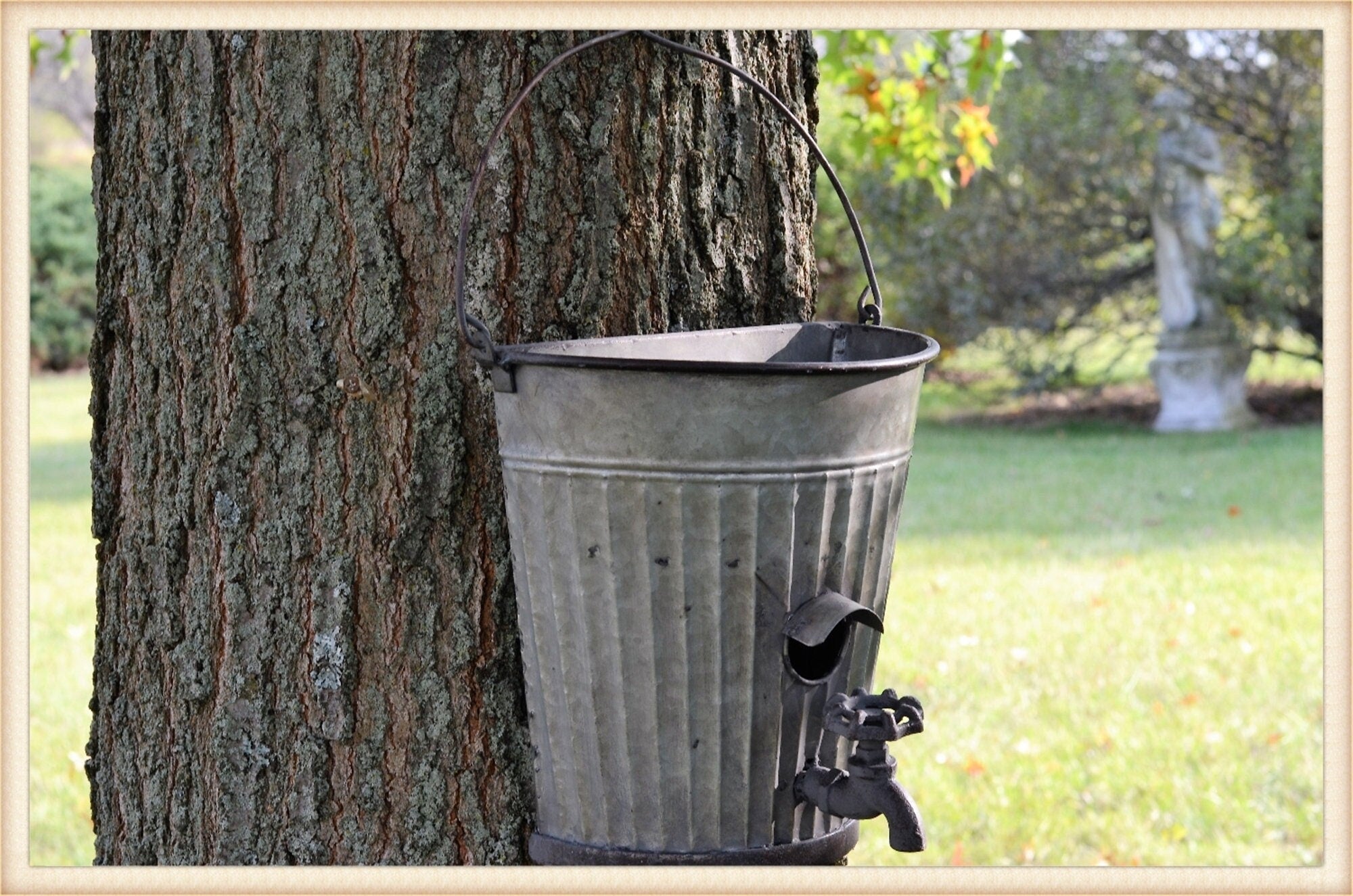 17"t Old Bucket Birdhouse Feeder or Planter - Outdoor Patio Decor - Metal Flower or Ivy Basket Container - Rustic Bird Home -