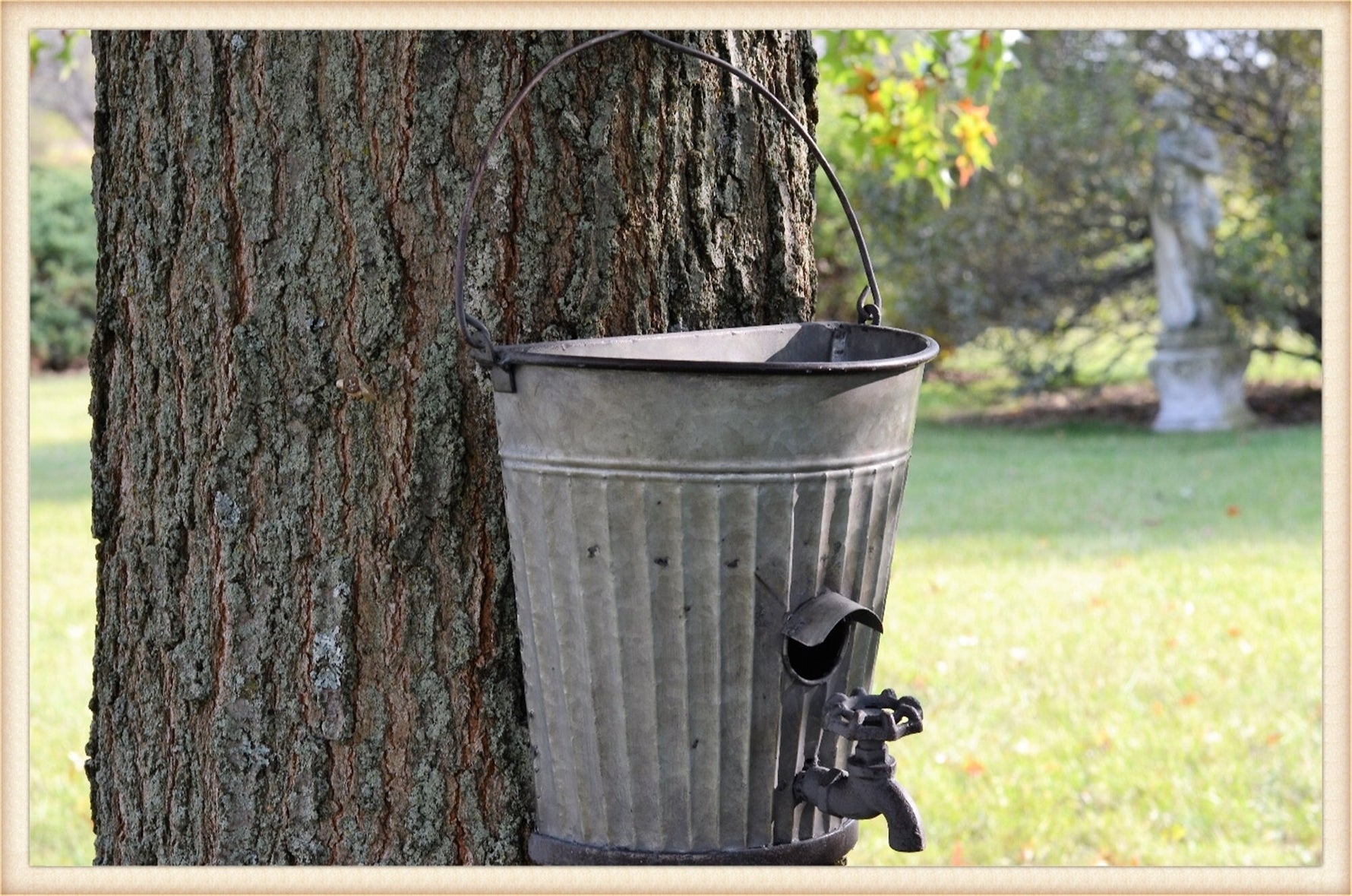 17"t Old Bucket Birdhouse Feeder or Planter - Outdoor Patio Decor - Metal Flower or Ivy Basket Container - Rustic Bird Home -