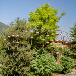 Set of 3 Antique Copper Umbrella Wind Chimes with Bells Wind Chimes Garden