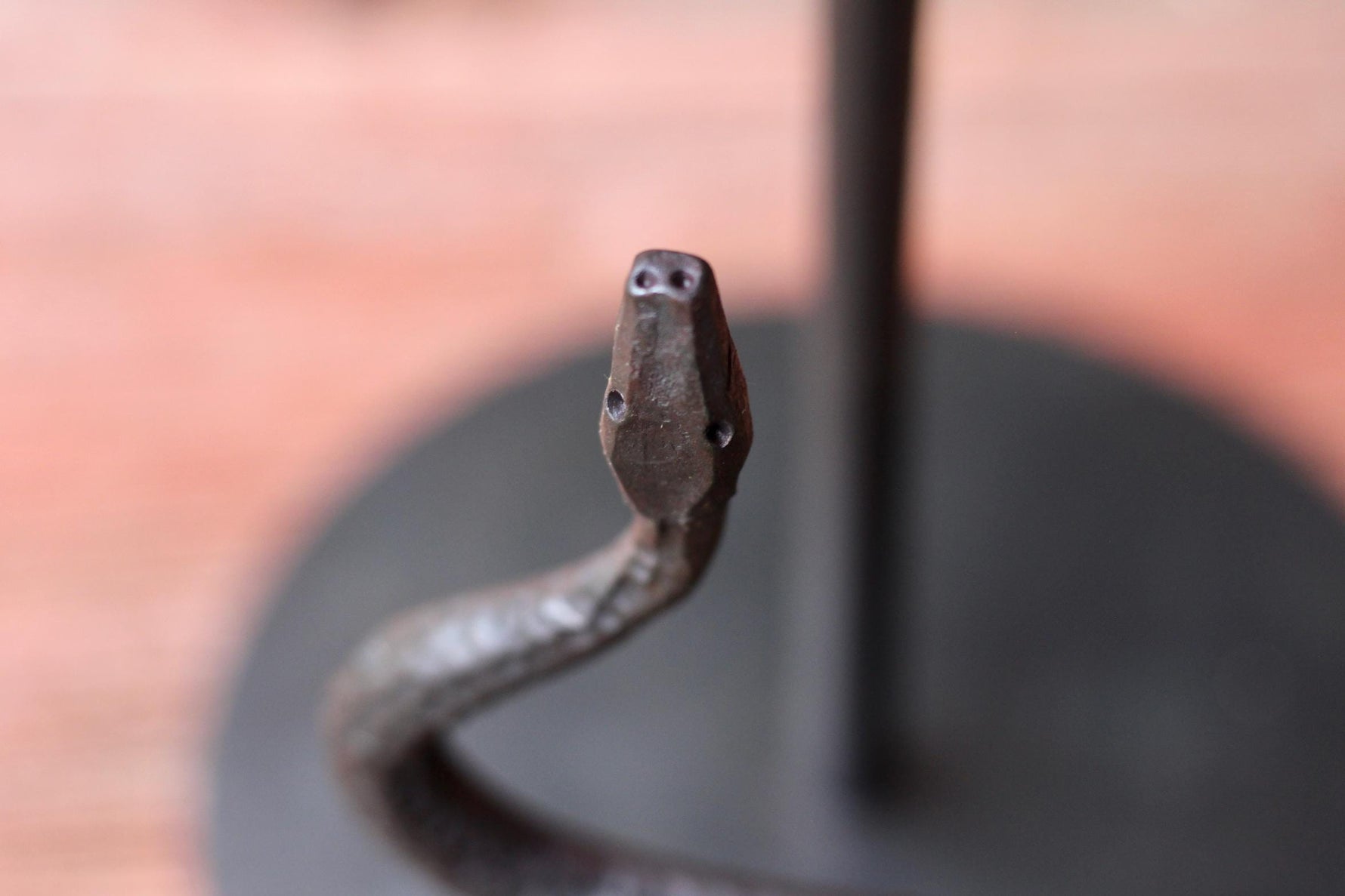 Rattlesnake Paper Towel Holder Paper Towel Holders