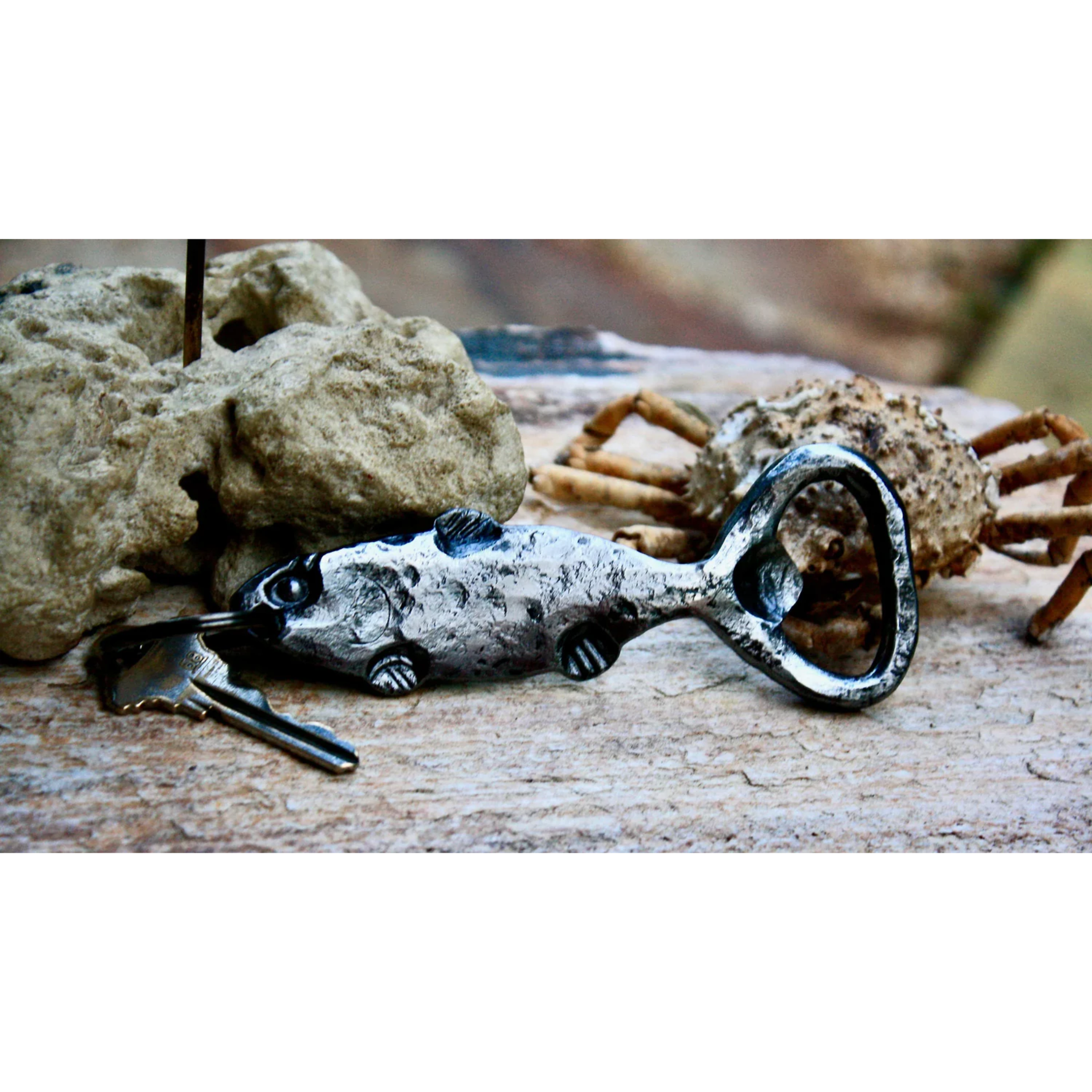 Fish Bottle Opener