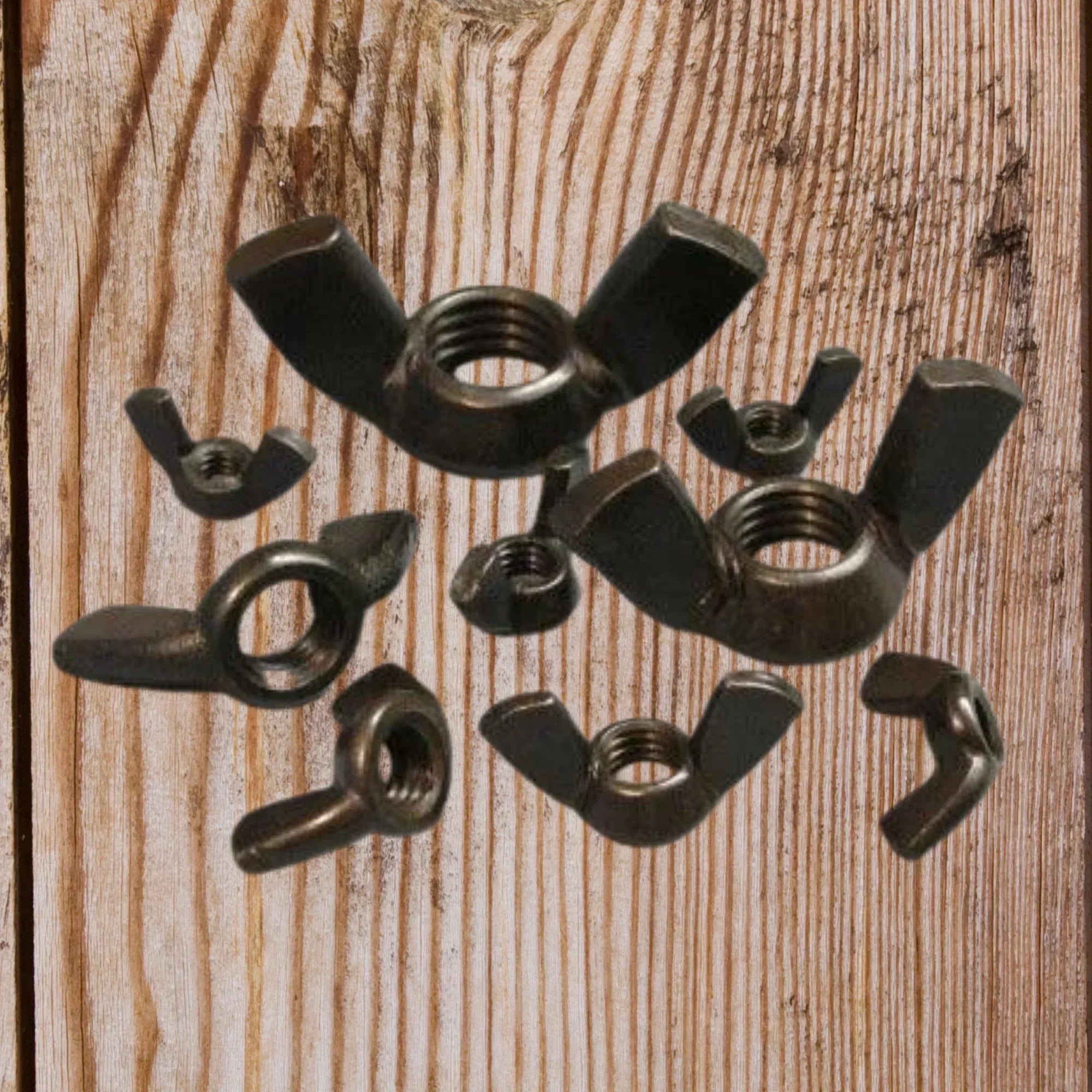 5/8" Forged Wingnut, Black Oxide - Old West Iron