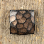 A top view of a hand hammered square head bolt that is painted black with a aged bronze patina as the finish installed on a wood background.